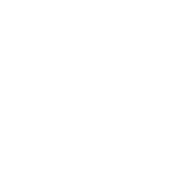 World Trade Securities